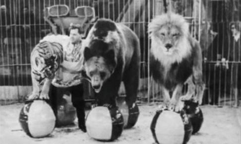 100年前のサーカス 見世物小屋の写真 信じられない姿の驚愕の画像 画像大量 Akogare